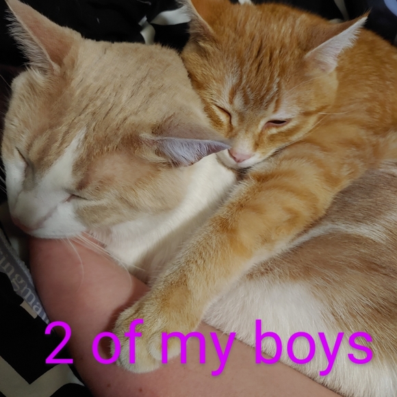 Meet your Posher, Heather - Picture 3 of 11